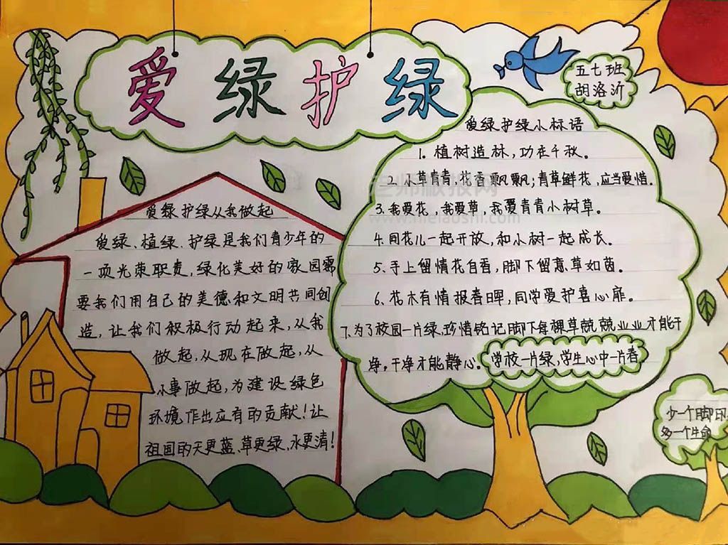 《植树节爱护绿色》主题手抄报绘画图片-含内容文字