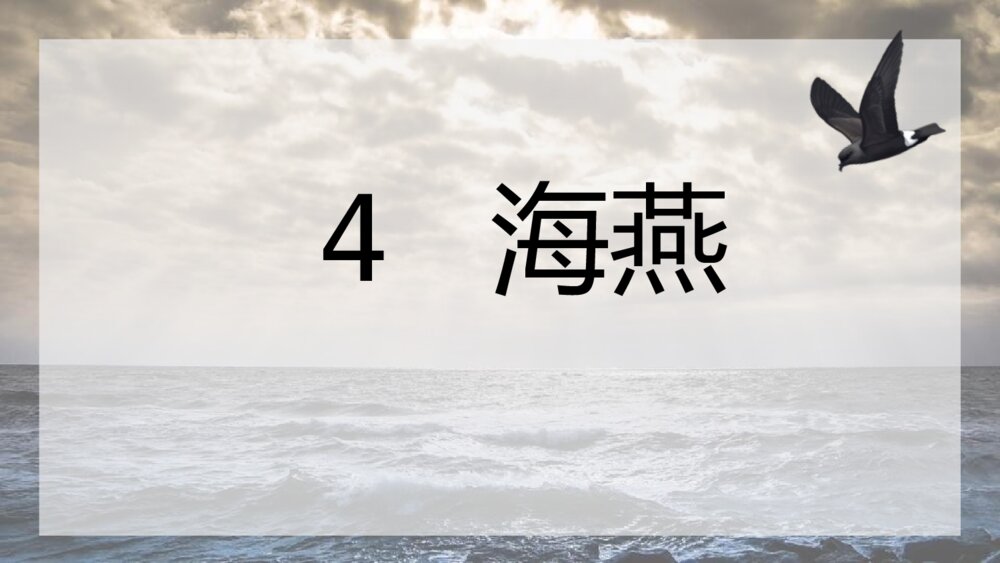 《海燕》九年级语文下册PPT优秀课件1