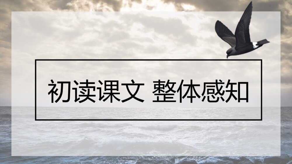 《海燕》九年级语文下册PPT优秀课件5