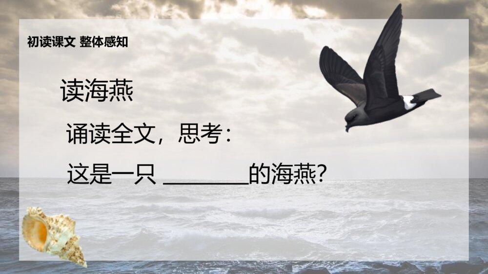《海燕》九年级语文下册PPT优秀课件7