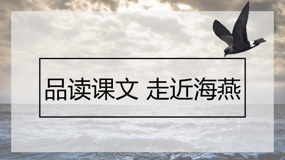 《海燕》九年级语文下册PPT优秀课件8