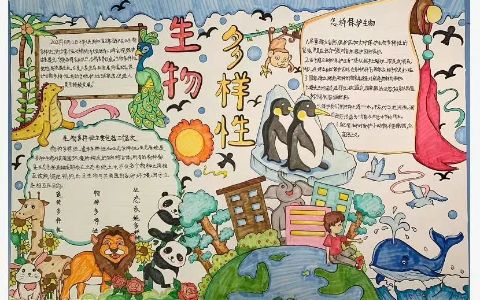 《生物多样性手抄报》手抄报图片-保护生物多样性手抄报