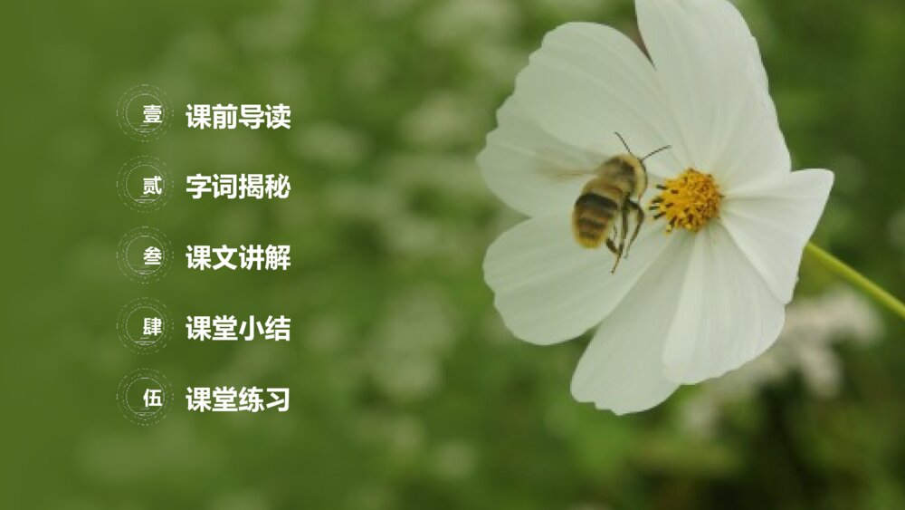 小学三年级语文下册第四单元《蜜蜂》PPT教学课件2