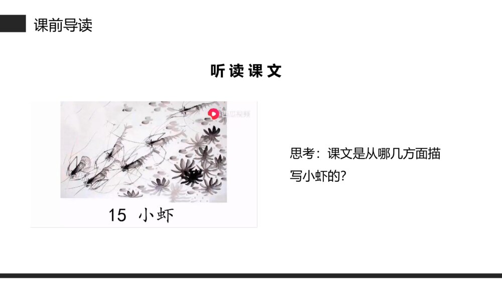 小学三年级语文下册第四单元《小虾》PPT教学课件5