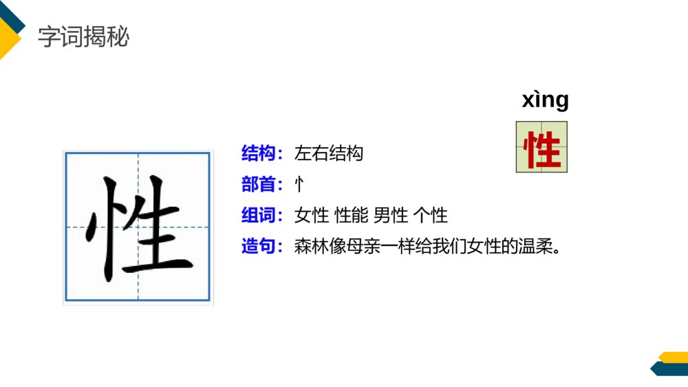 小学三年级语文下册第八单元《慢性子裁缝和急性子顾客》PPT教学课件9