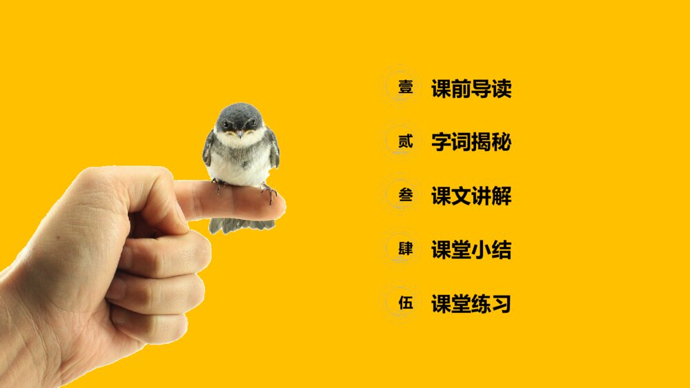 小学三年级语文下册第一单元《燕子》PPT教学课件2