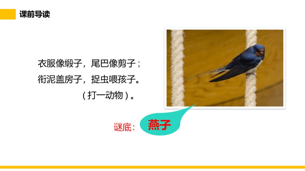 小学三年级语文下册第一单元《燕子》PPT教学课件3