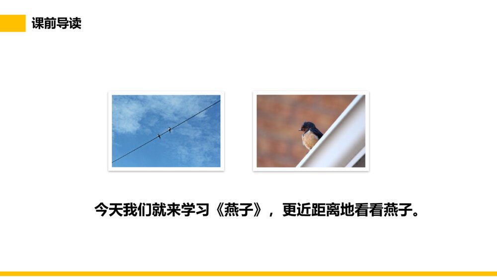 小学三年级语文下册第一单元《燕子》PPT教学课件5