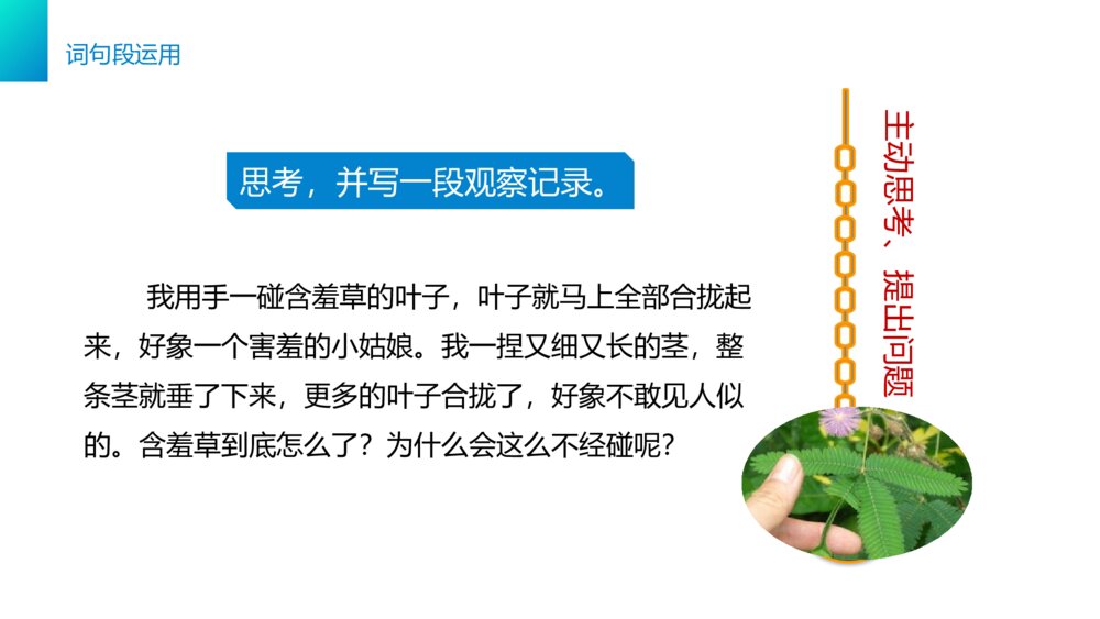 小学三年级语文下册第四单元《语文园地四》PPT教学课件9