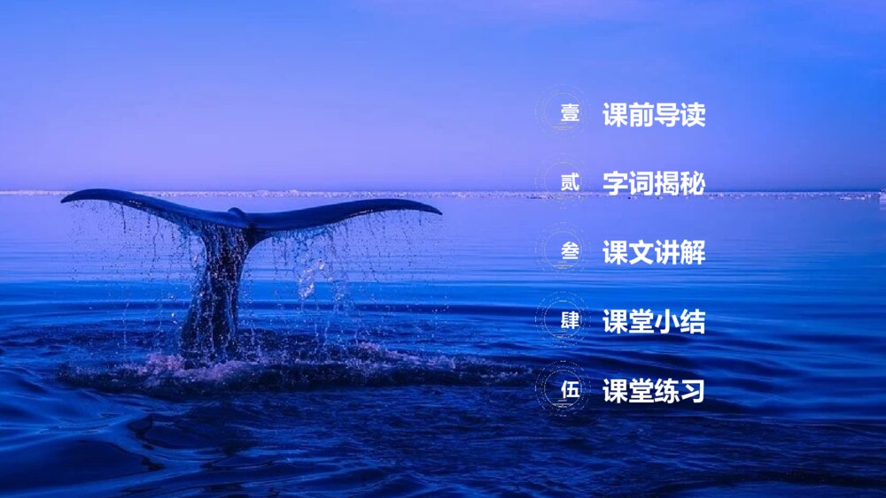 人教版《海的女儿》四年级语文下册PPT精品课件2