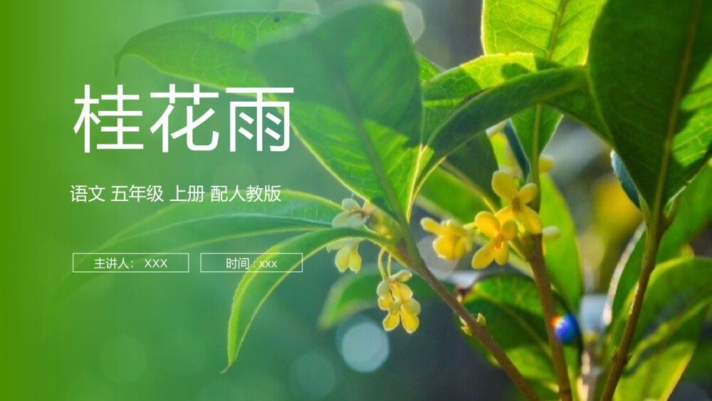 人教版五年级语文上册《桂花雨》PPT课件