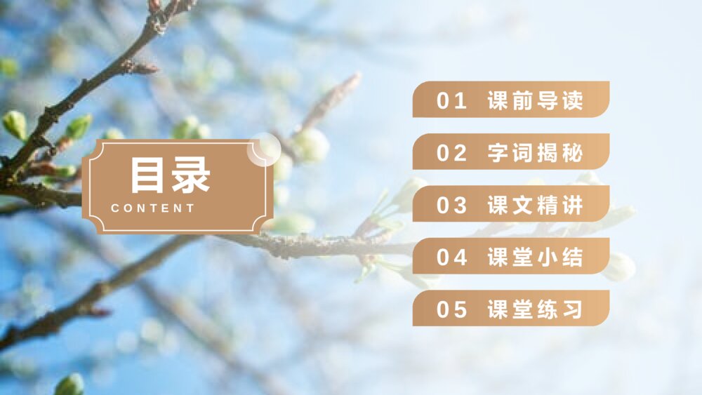 人教版五年级语文下册《红楼春趣》PPT精品课件2