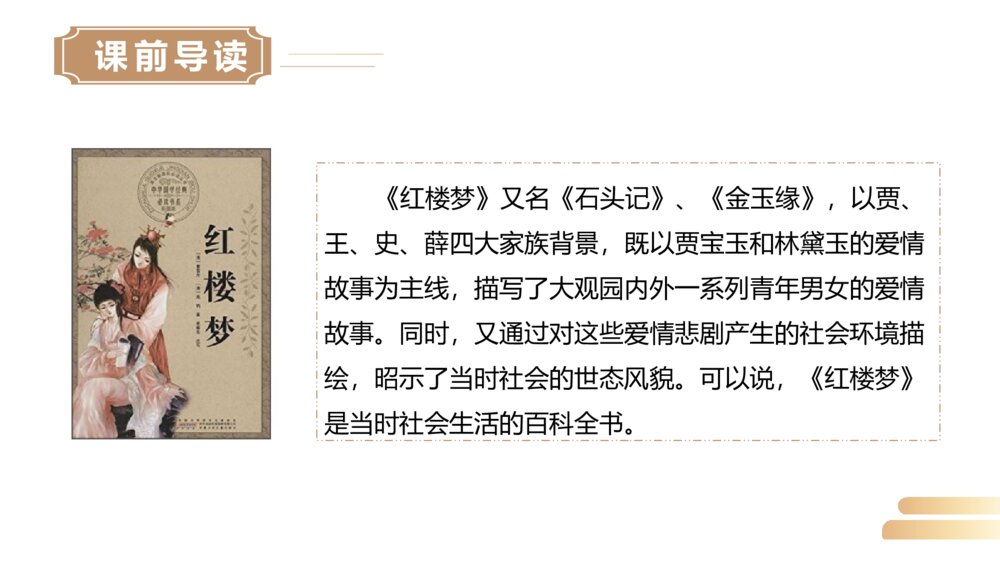 人教版五年级语文下册《红楼春趣》PPT精品课件4