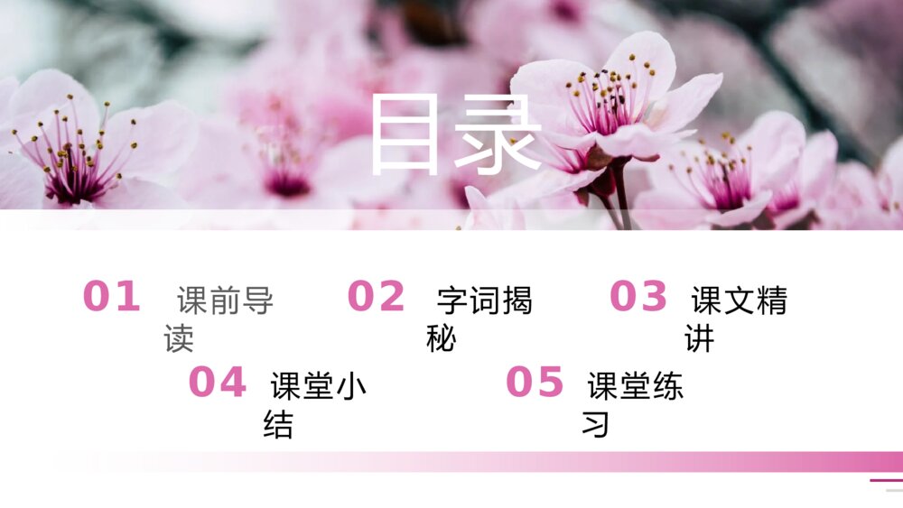 人教版五年级语文下册《梅花魂》PPT精品课件2
