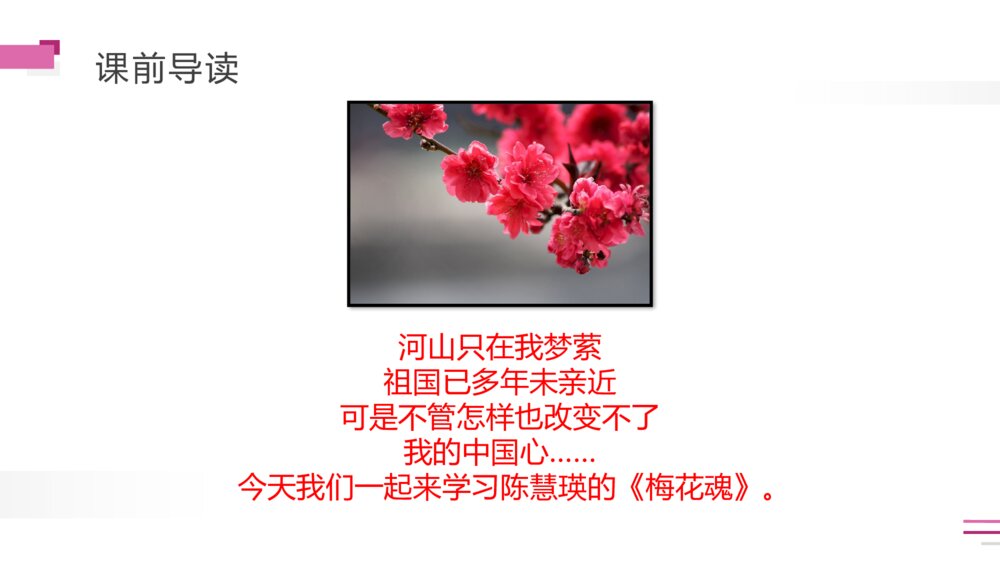 人教版五年级语文下册《梅花魂》PPT精品课件3