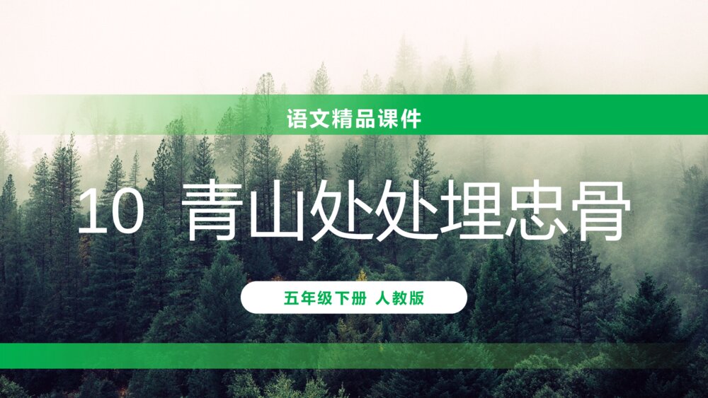 人教版五年级语文下册《青山处处埋忠骨》PPT精品课件