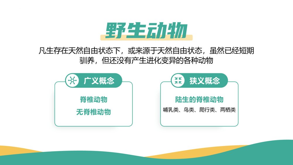 《保护动物 从我做起》PPT班会课件4