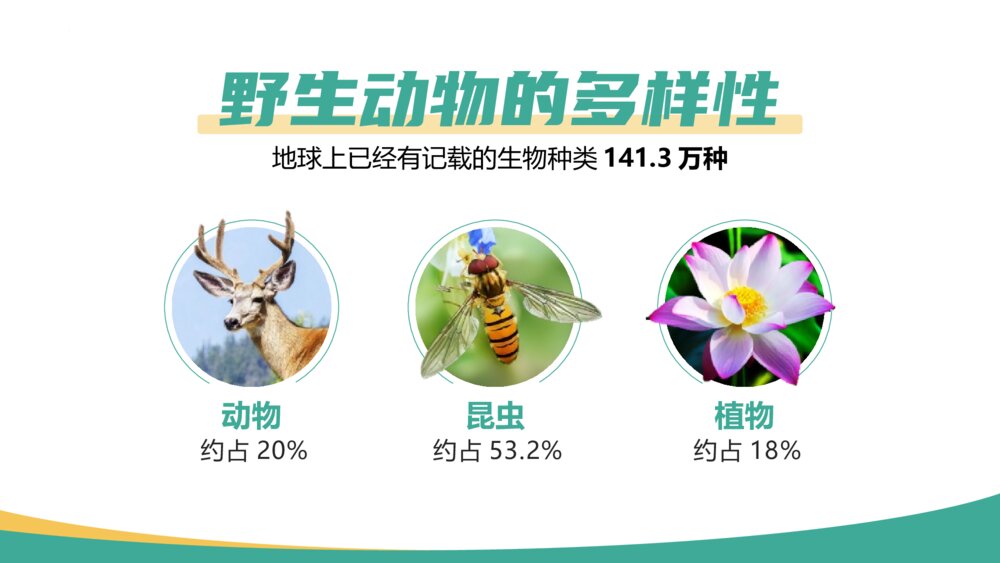 《保护动物 从我做起》PPT班会课件5