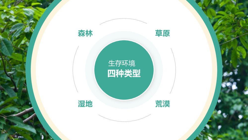《保护动物 从我做起》PPT班会课件7