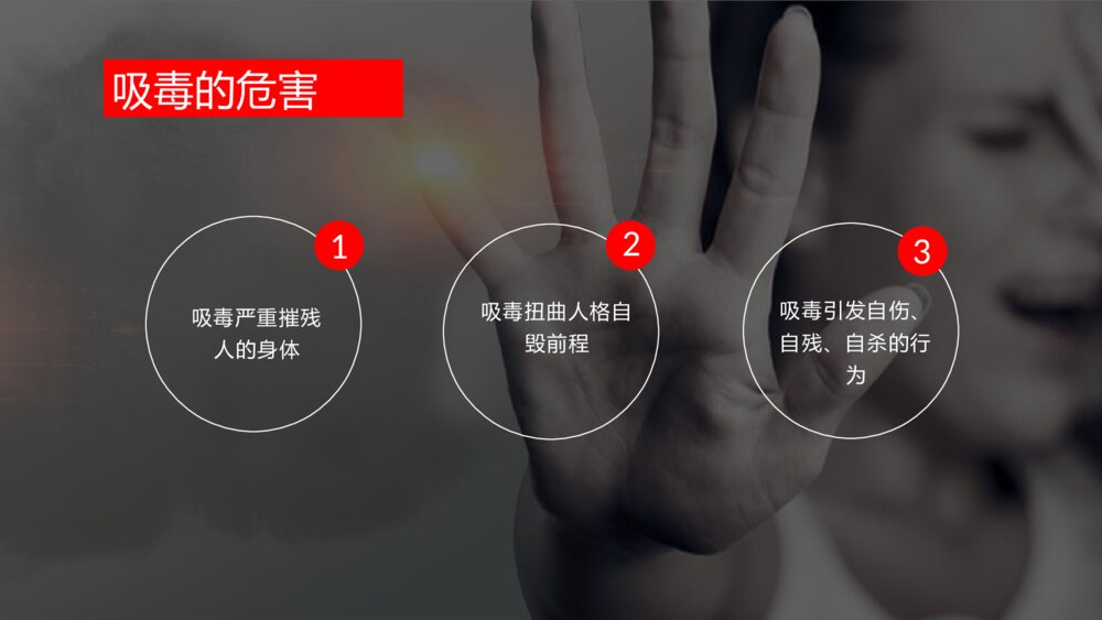《珍爱生命 拒绝毒品》PPT班会课9