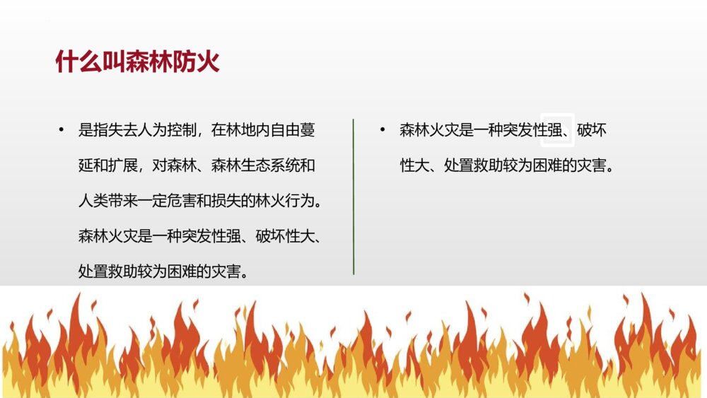 《森林防火 人人有责》PPT班会课件4