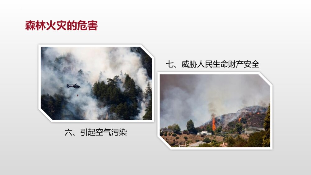 《森林防火 人人有责》PPT班会课件8