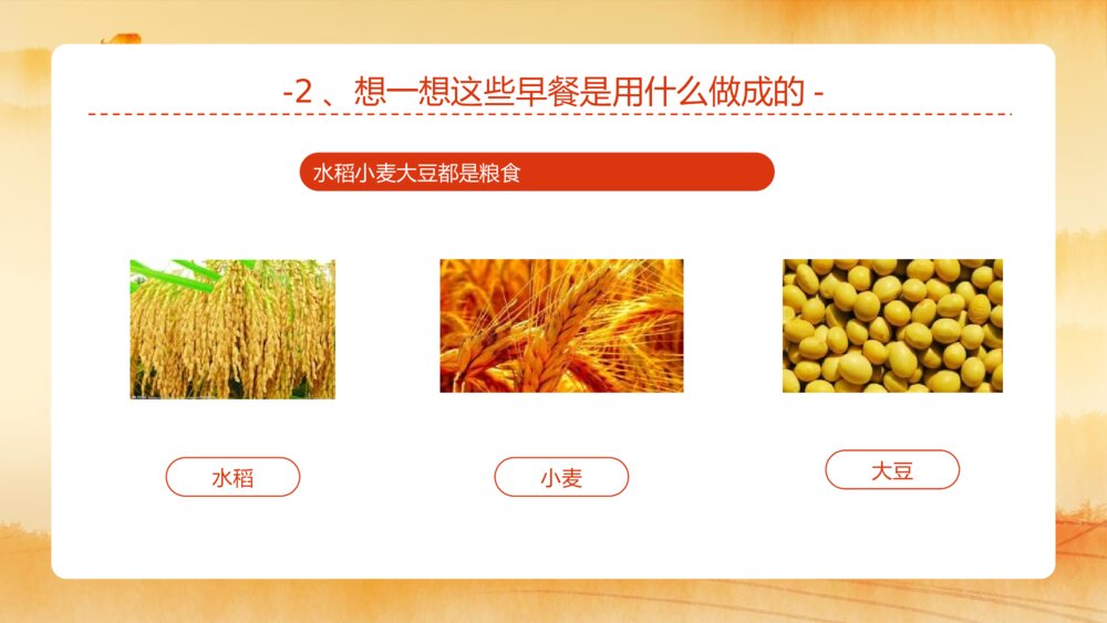 《小小一粒米我们要珍惜》节约粮食主题教育班会PPT课件9