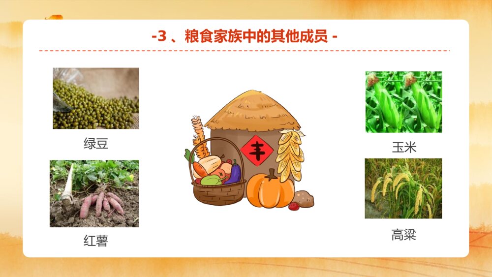 《小小一粒米我们要珍惜》节约粮食主题教育班会PPT课件10