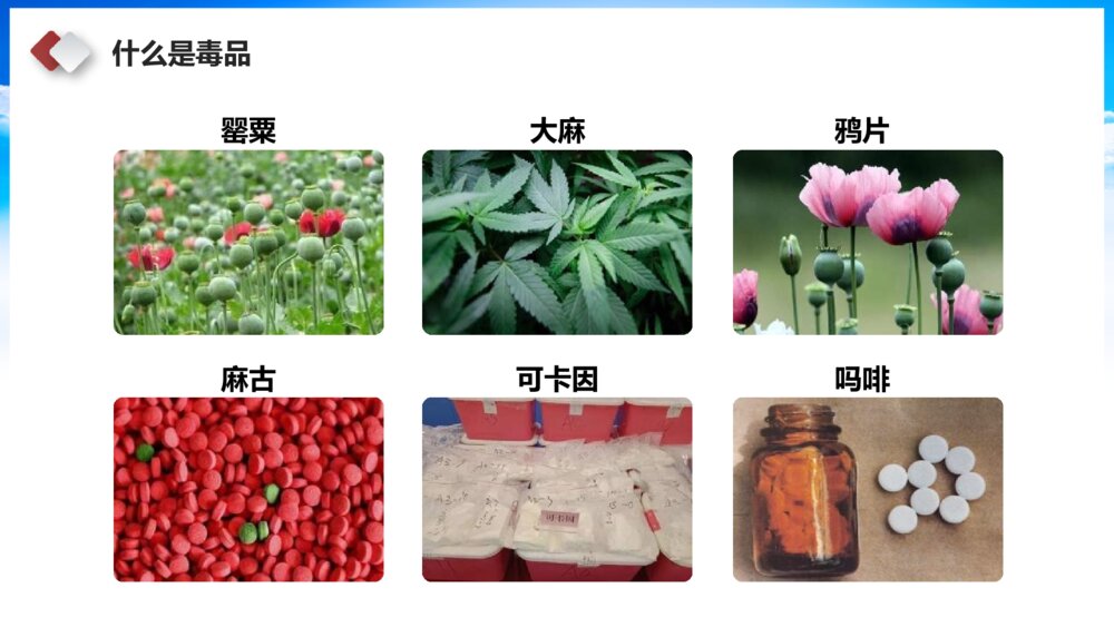 禁毒教育主题宣传活动主题班会PPT课件-《珍爱生命 远离毒品》5