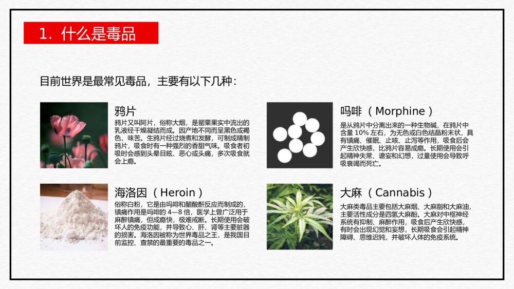 《珍爱生命 远离毒品》国际禁毒日PPT教学课件6