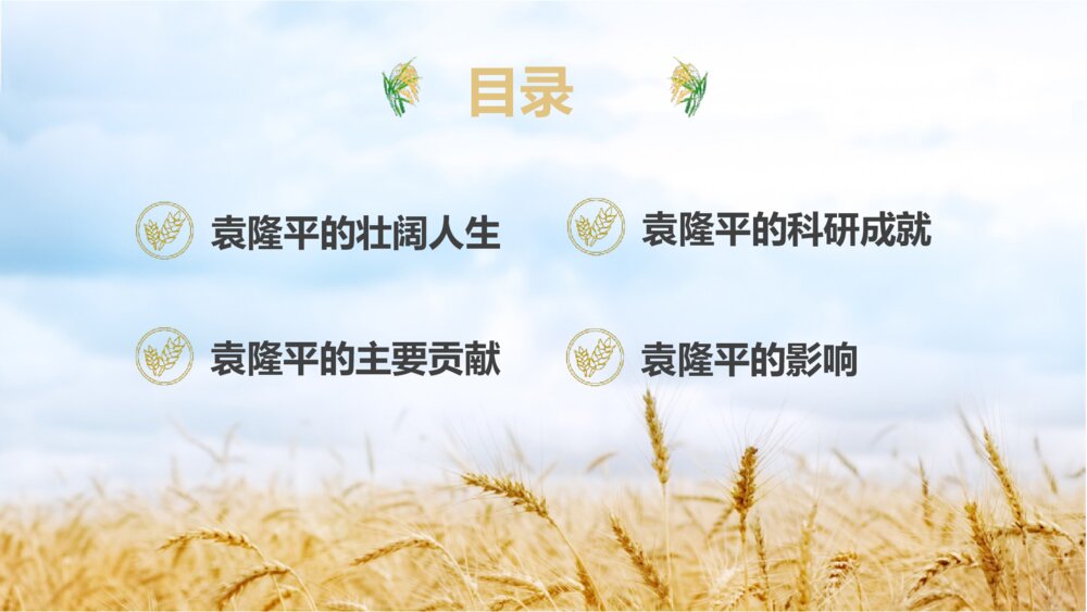 缅怀杂交水稻之父袁隆平珍惜粮食主题教育班会PPT课件(电子版可编辑修改)2