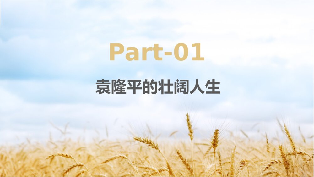 缅怀杂交水稻之父袁隆平珍惜粮食主题教育班会PPT课件(电子版可编辑修改)3