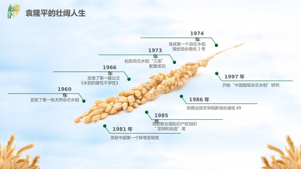 缅怀杂交水稻之父袁隆平珍惜粮食主题教育班会PPT课件(电子版可编辑修改)5