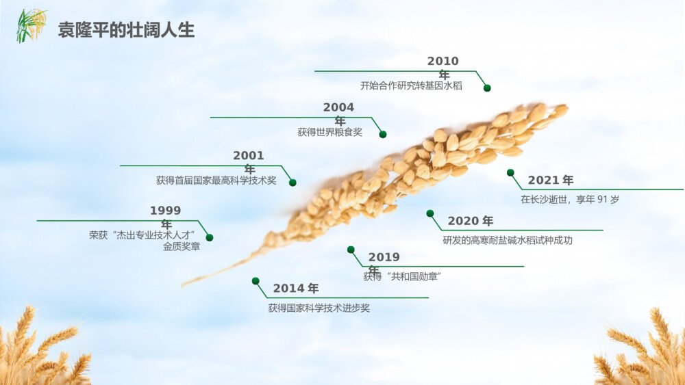 缅怀杂交水稻之父袁隆平珍惜粮食主题教育班会PPT课件(电子版可编辑修改)6