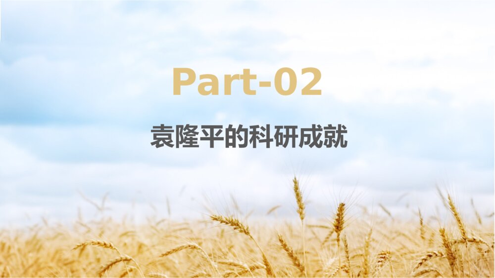 缅怀杂交水稻之父袁隆平珍惜粮食主题教育班会PPT课件(电子版可编辑修改)7
