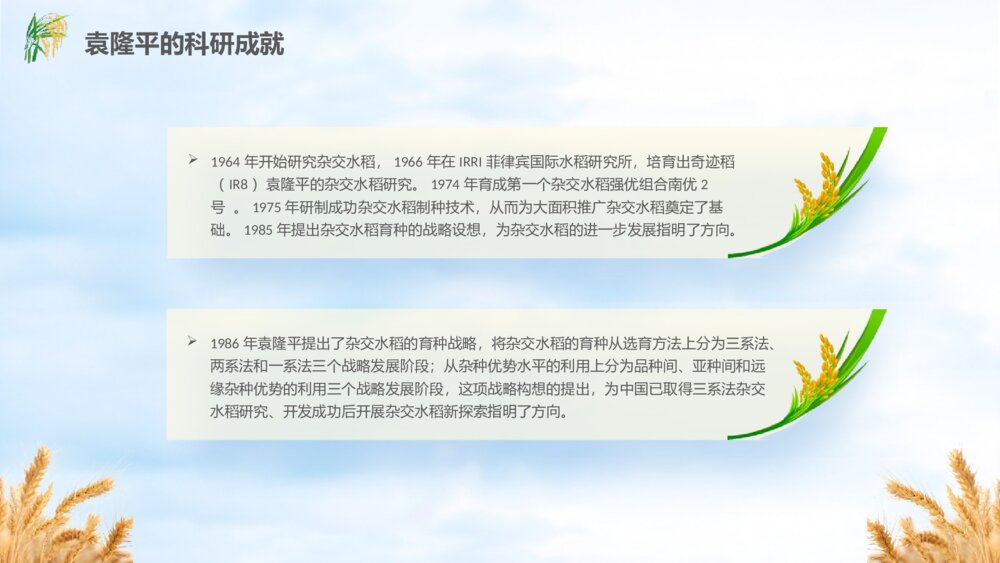 缅怀杂交水稻之父袁隆平珍惜粮食主题教育班会PPT课件(电子版可编辑修改)8