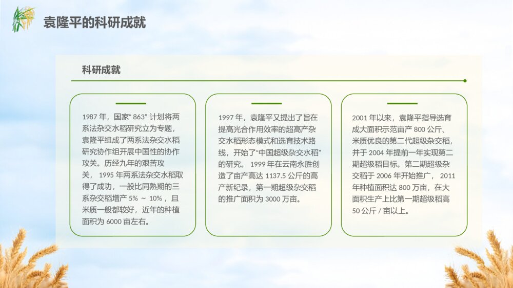 缅怀杂交水稻之父袁隆平珍惜粮食主题教育班会PPT课件(电子版可编辑修改)9