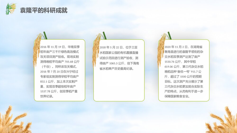 缅怀杂交水稻之父袁隆平珍惜粮食主题教育班会PPT课件(电子版可编辑修改)10