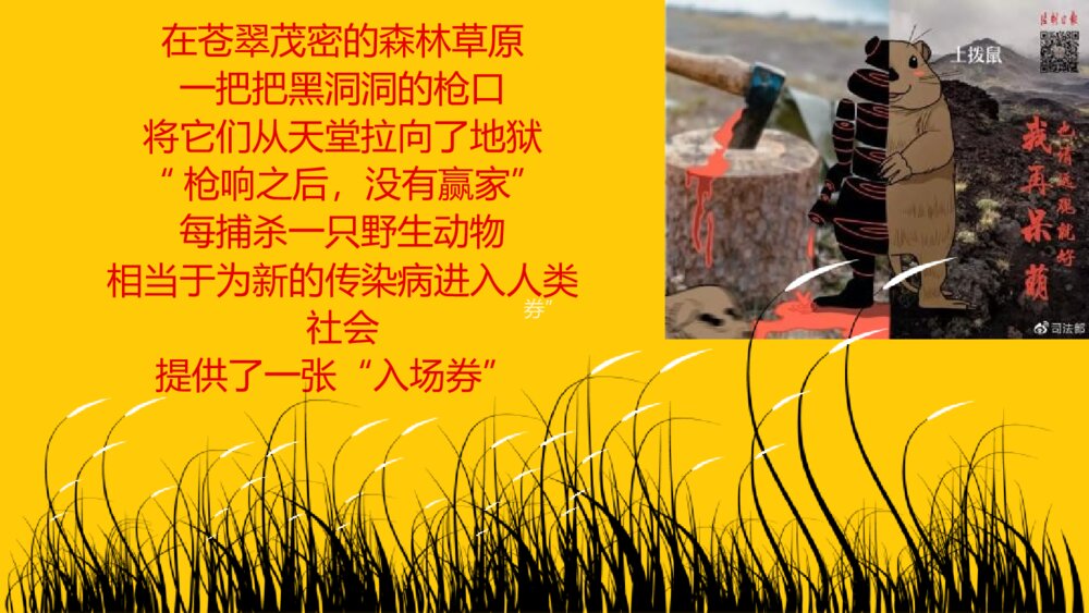拒绝野味·保护动物PPT班会课件(带内容文字可编辑修改)2