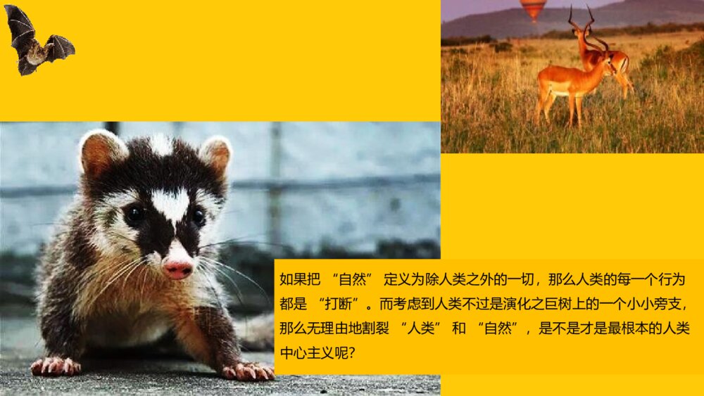 拒绝野味·保护动物PPT班会课件(带内容文字可编辑修改)5