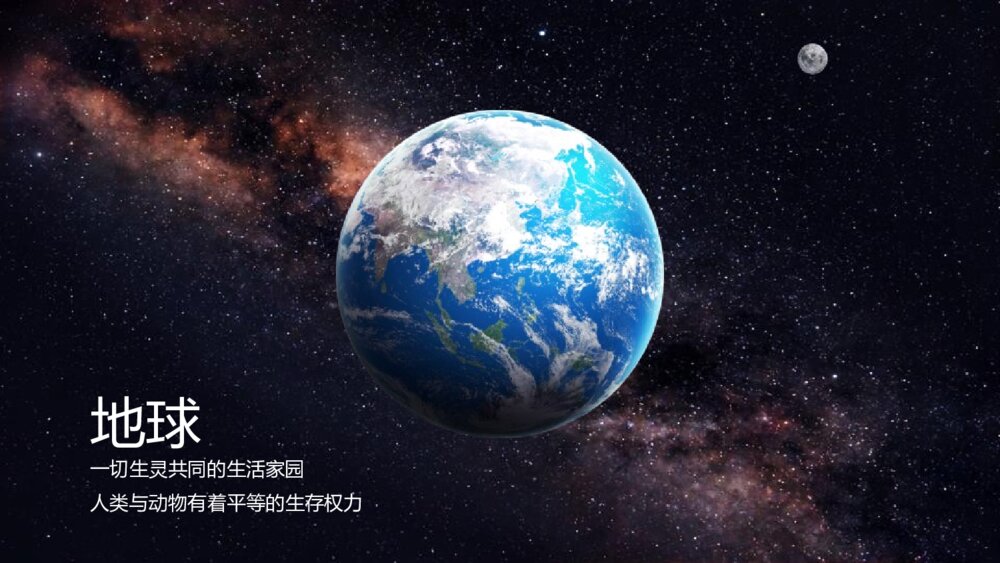 拒绝野味·保护动物PPT班会课件(带内容文字可编辑修改)6
