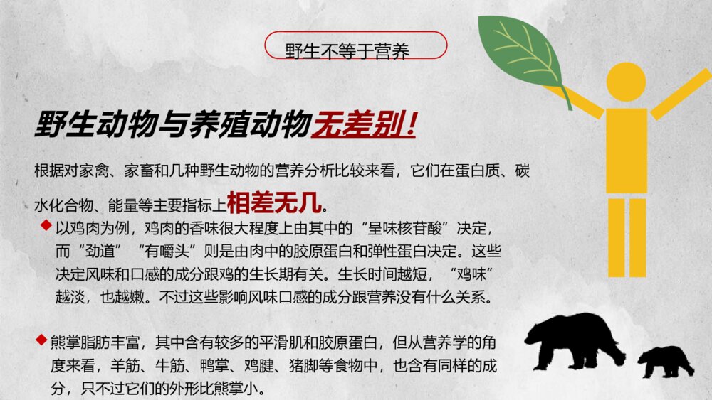拒绝野味·保护动物PPT班会课件(带内容文字可编辑修改)7
