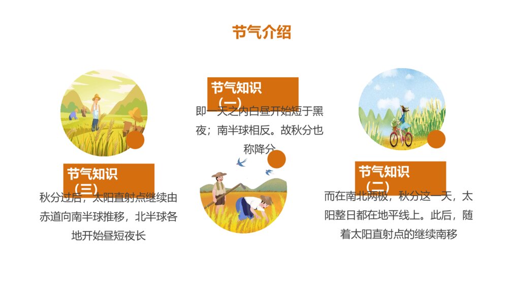 金色银杏叶·二十四节气秋分PPT5