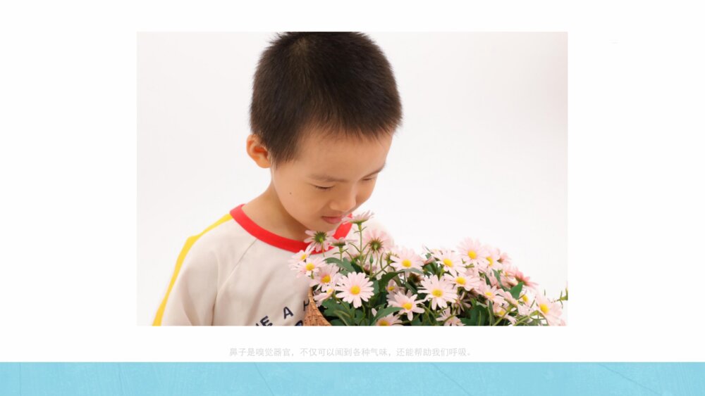 《爱护我们的五官》幼儿园小中大班健康主题PPT6