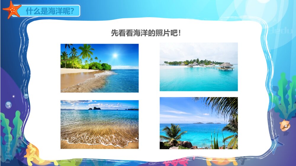 《海洋动物》幼儿园小班科学教育教育PPT课件3