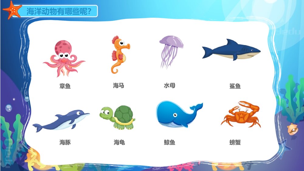 《海洋动物》幼儿园小班科学教育教育PPT课件5