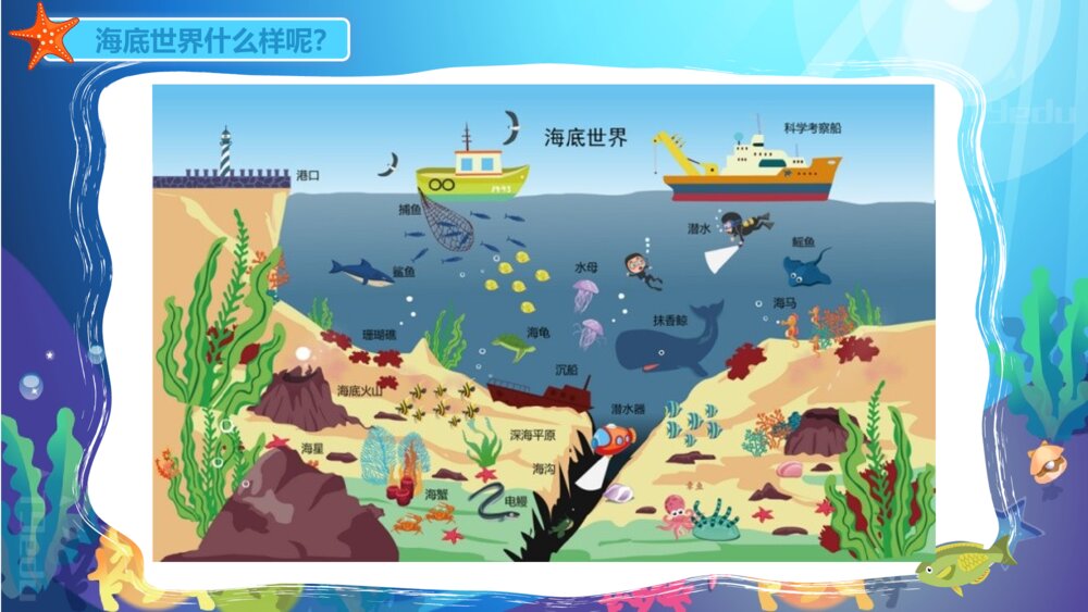 《海洋动物》幼儿园小班科学教育教育PPT课件6