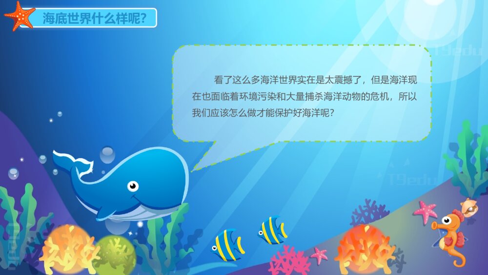 《海洋动物》幼儿园小班科学教育教育PPT课件8