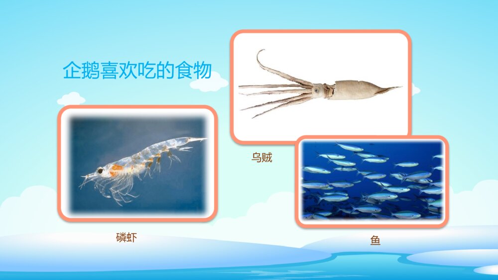 《不怕冷的企鹅》幼儿园小班科学教育活动主题PPT课件8