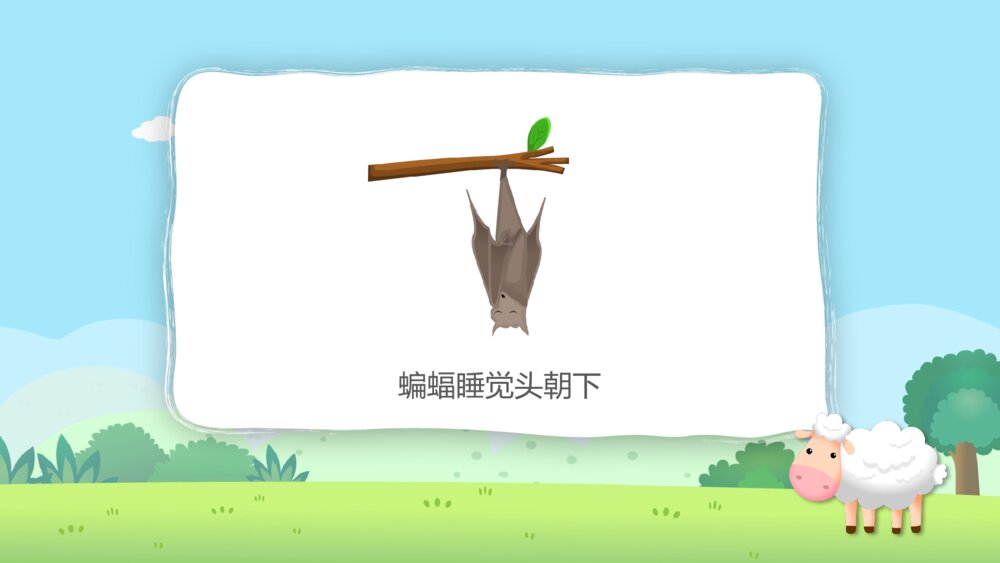 《动物的睡眠》幼儿园小班科学教育教学PPT课件4